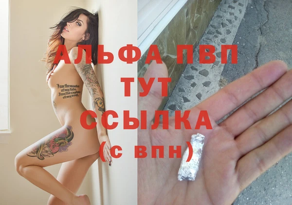 прущие грибы Михайловка